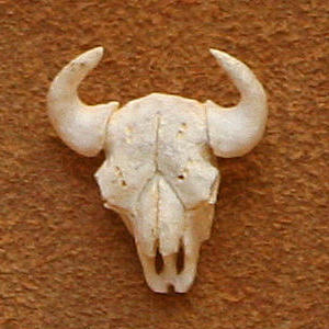 Carved Antler Skull Tie Tack by Bill Johns